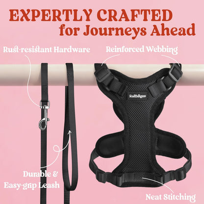 rabbitgoo Escape-Proof Cat Harness & Leash Set (XS, Black)