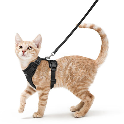 rabbitgoo Escape-Proof Cat Harness & Leash Set (XS, Black)