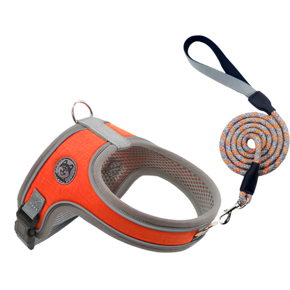 Adjustable and Breathable Pet Harness and Leash Set
