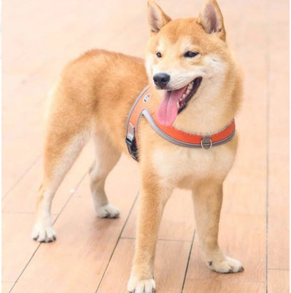 Adjustable and Breathable Pet Harness and Leash Set