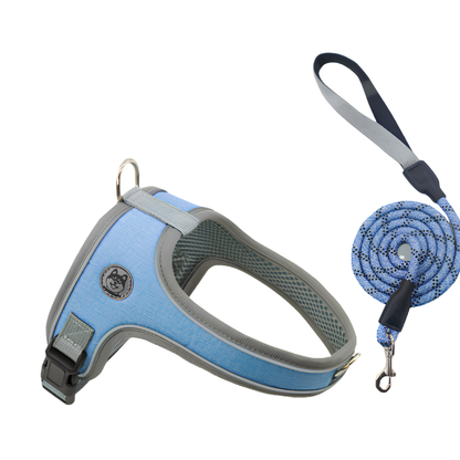 Adjustable and Breathable Pet Harness and Leash Set