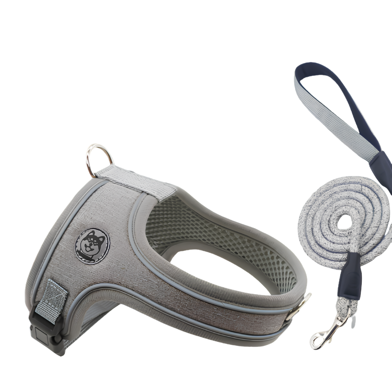 Adjustable and Breathable Pet Harness and Leash Set