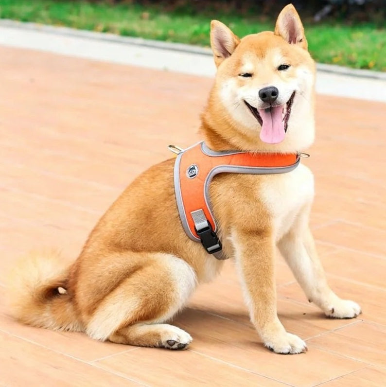 Adjustable and Breathable Pet Harness and Leash Set
