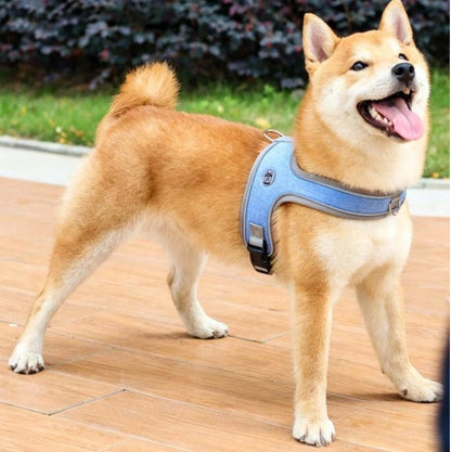 Adjustable and Breathable Pet Harness and Leash Set
