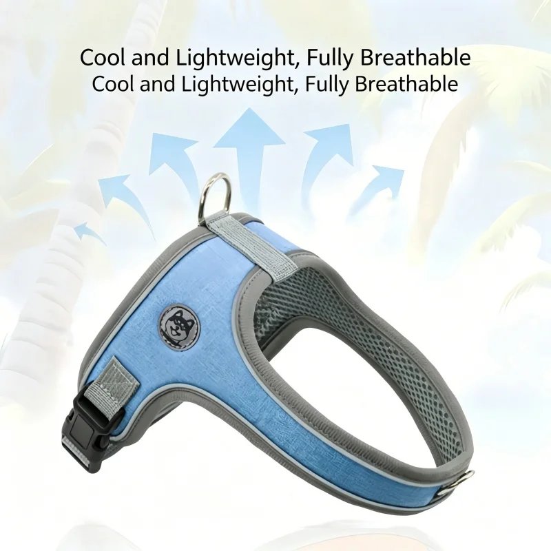 Adjustable and Breathable Pet Harness and Leash Set