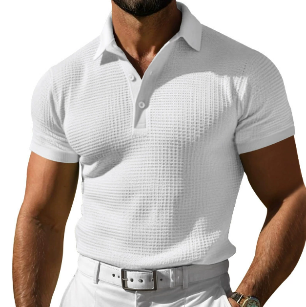 Lewis | Men's Textured Regular Fit Polo Shirt